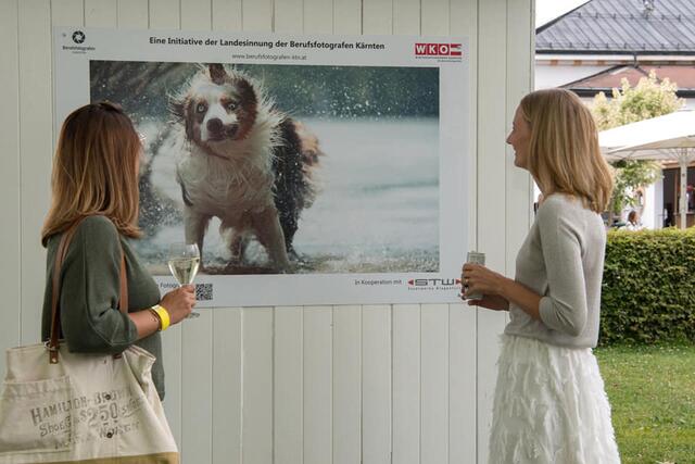 Foto: WKK/Caroline Knauder