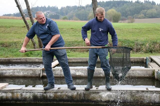 Frischer Fisch kommt vom St. Mareiner Unternehmen Marzi. | Foto: Privat