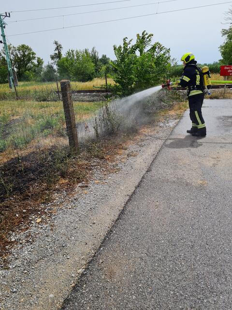 Der Brand wurde mittels Feuerpatschen und C-Rohr gelöscht.