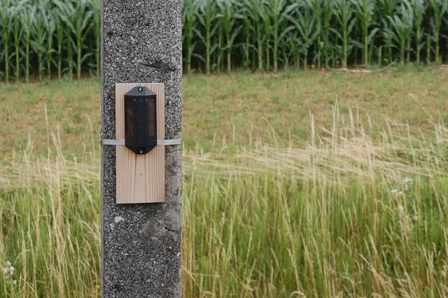 Das optisch-akustische Wildwarngerät ist entlang der Gleise an einem Masten montiert und löst bei Geräusch oder Scheinwerferlicht eines Zuges LEDs und einen Pfeifton aus.