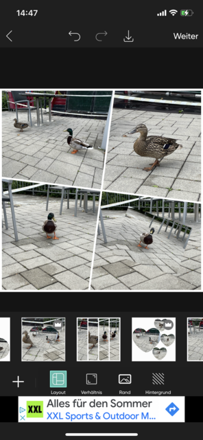  Unser App Tipp der Woche PicsArt ist eine umfangreiche App zur Bearbeitung von Fotos und Videos am Smartphone. Zusätzlich können Collagen erstellt, Text eingefügt und Zeichnungen erstellt werden. | Foto: Screenshot
