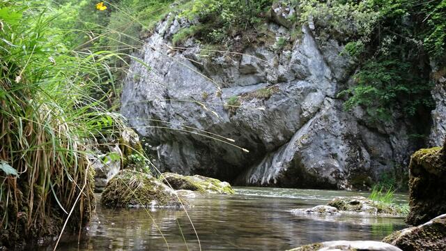 Die Schwarza im Höllental ...