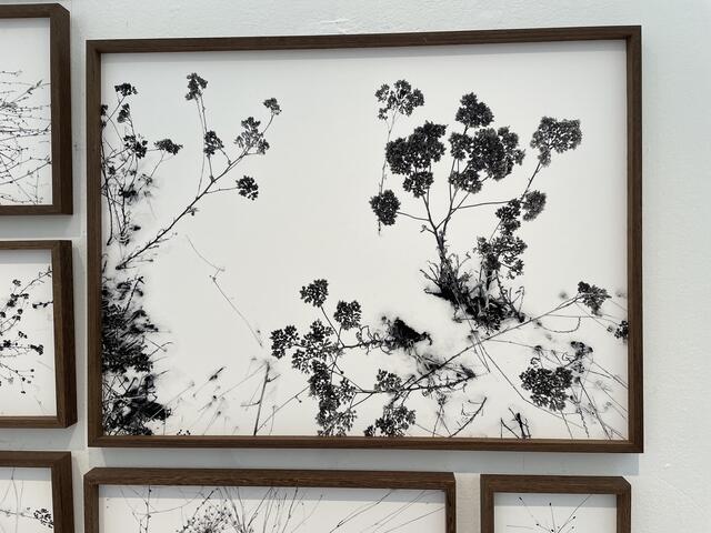 Foto-Kunst von Regina Anzenberger.