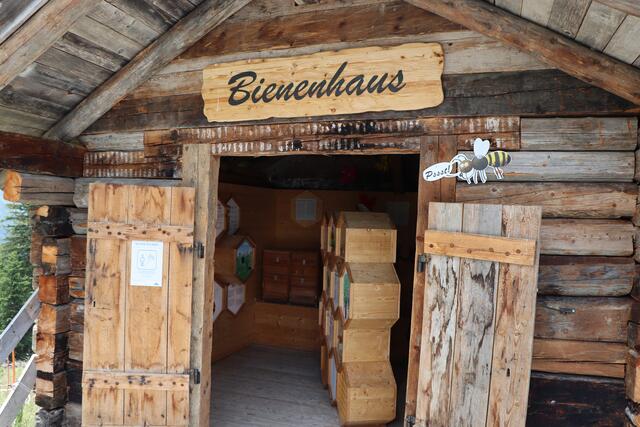 Das neue Bienenhaus bietet interessante Einblicke. | Foto: Othmar Kolp