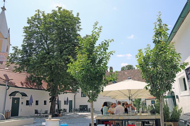 Innenhof des Meierhofes