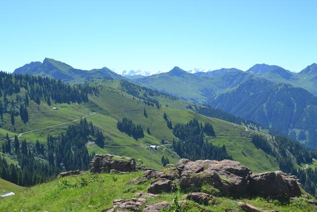 Kitzbüheler Alpen
