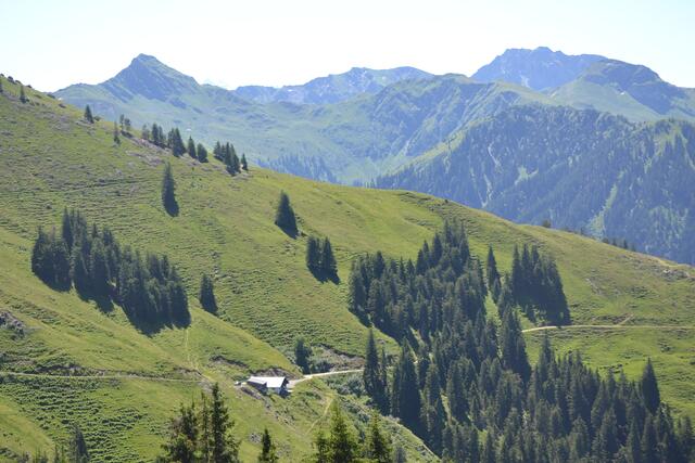 Alm und Kitzbüheler Alpen