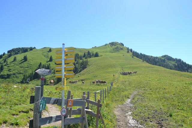 Weg auf den Stuck-Kogel