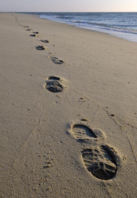 Wer den CO2-Fußabdruck in seinem Urlaub möglichst klein halten möchte, sollte vor allem das Transportmittel gut auswählen.  | Foto: Foto: panthermedia/puffin