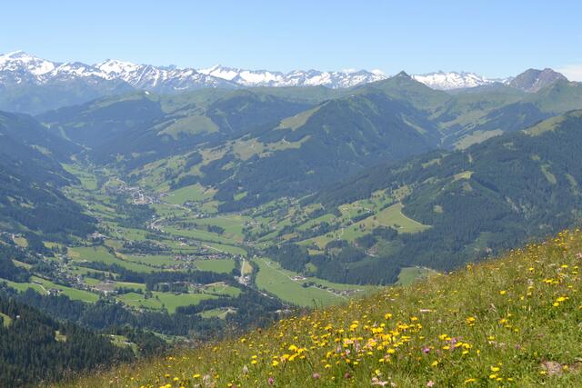 Hohe Tauern