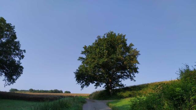 Begleitet von Sonnenschein und unter blauem Himmel wandert es sich gleich viel leichter. | Foto: Aina Geber