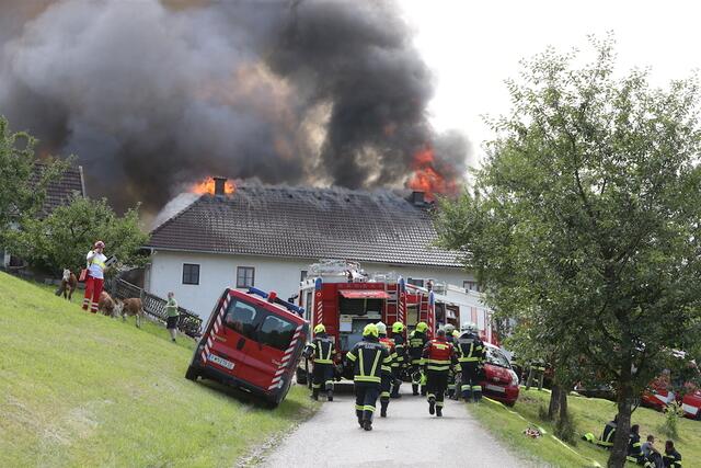 Trotz des Einsatzes zahlreicher Feuerwehren konnten zwölf Rinder, der Wirtschaftstrakt und das Wohnhaus nicht vor den Flammen gerettet werden.