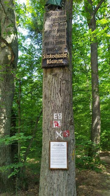 Der Soonwald im Landkreis Bad Kreuznach ist ein Teil des rheinland-pfälzischen Mittelgebirges Hunsrück. Hier gibt es zwei Etappen auf dem Soonwaldsteig - insgesamt 85 Kilometer Wildnis und Stille im Naturpark Soonwald-Nahe. | Foto: Aina Geber