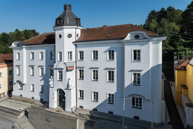 Das Bezirksgericht Grieskirchen hatte der Kindsmutter das alleinige Obsorgerecht für die beiden Kinder zugesprochen.