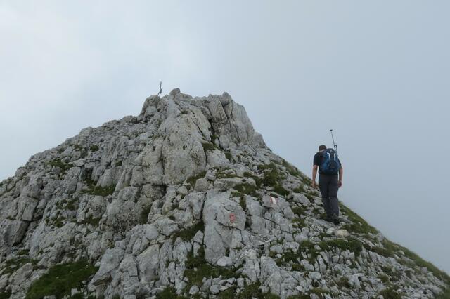 Die letzten Meter zum Gipfel.  | Foto: Thomas Neuhold