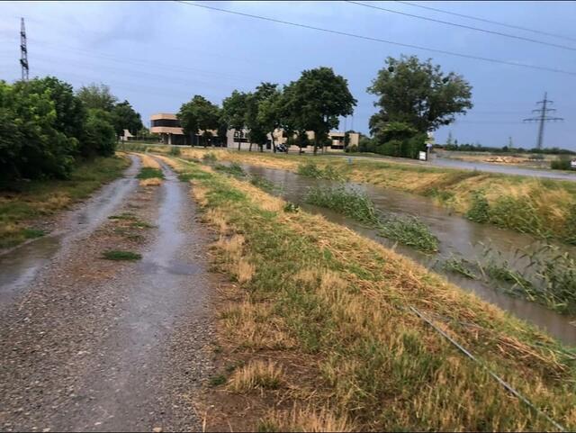 Das Eisenstädter Stadtgebiet blieb von Unwetterschäden verschont – die Stadtfeuerwehr führte dennoch eine Kontrollfahrt am Eisbach durch.