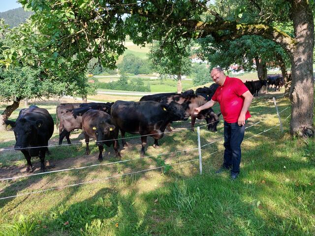 Bruno Seiser besitzt etwa 65 Angus-Rinder in Mutterkuhhaltung.