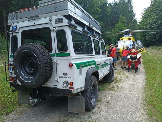 Der Mountainbiker musste nach dem Zusammestoß mit dem Fuchs ins Krankenhaus geflogen werden.  | Foto: Bergrettung Wienerwald