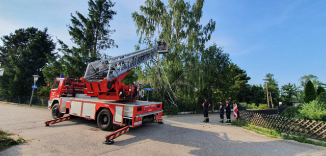 Sturmschäden in Enns