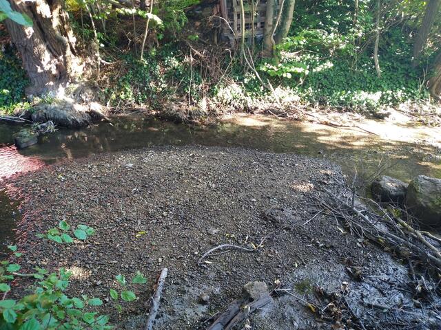 Rinnsal statt Fluss: die Fischa vor Austrocknung.