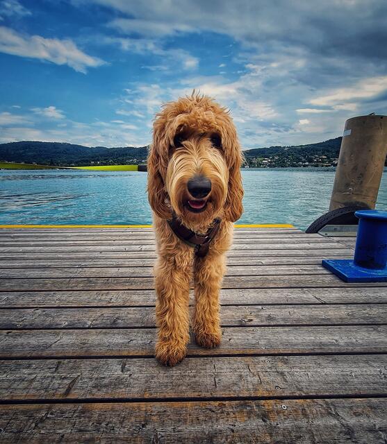 Regionaut Christian Hahn stellte uns diesen Schnappschuss zur Verfügung.  | Foto: Christian Hahn