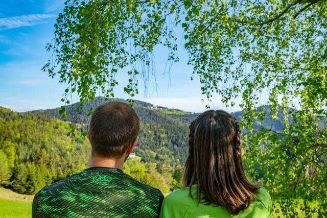 Von den drei Gipfeln hat man einen beeindruckenden Ausblick über das gesamte Mühlviertel bis hin zu den Alpen.