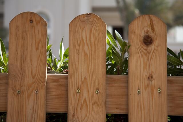 Der Unbekannte warf Fleischklumpen in den Garten, die vergiftet waren.