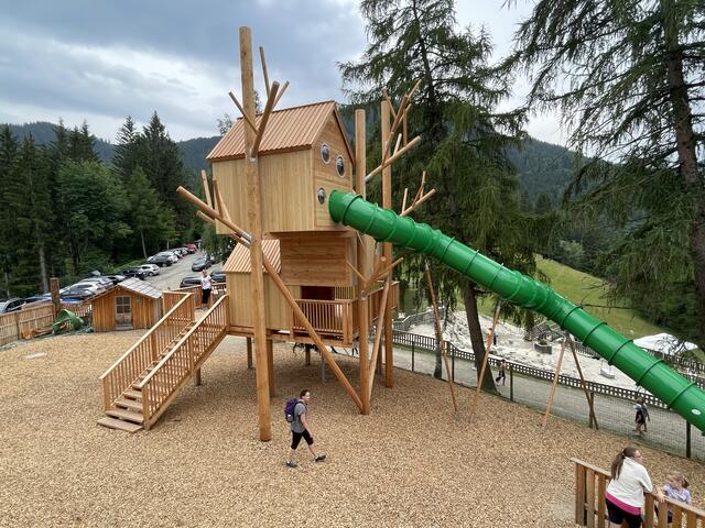 Eine Neuerung im Waldpark ist der gigantische Wissens-Baum, bei dem die Kinder das Thema Baum spielerisch von der Wurzel bis zur Krone erforschen können.