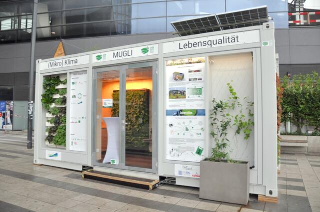 Mugli steht in der Ahornergasse beim Durchgang zur Neubaugasse und informiert über Gebäudebegrünungen aller Arten.