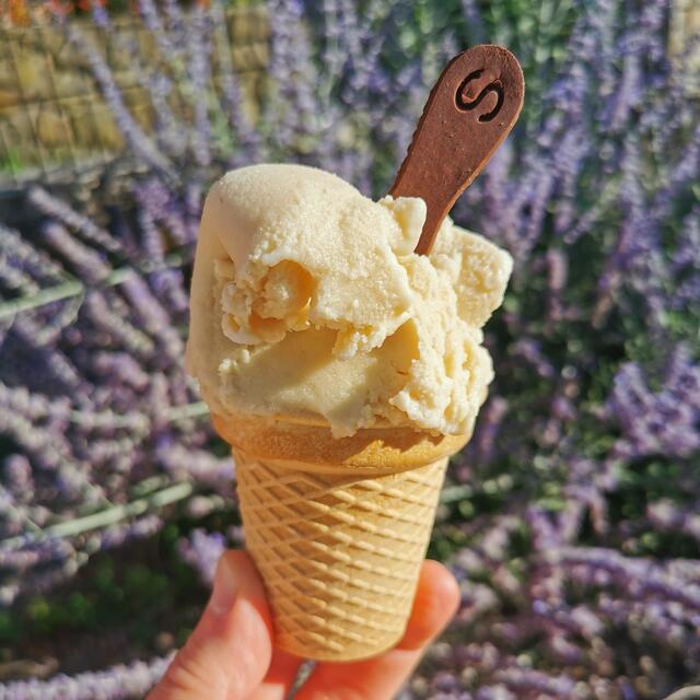 Eis und Löffel kann man nun gemeinsam essen.