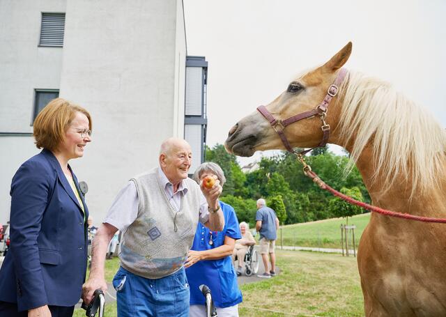  Sozial-Landesrätin Christiane Teschl-Hofmeister und ein Bewohner des PBZ Ybbs/Donau beim Besuch der Pferde | Foto: NLK Pfeiffer