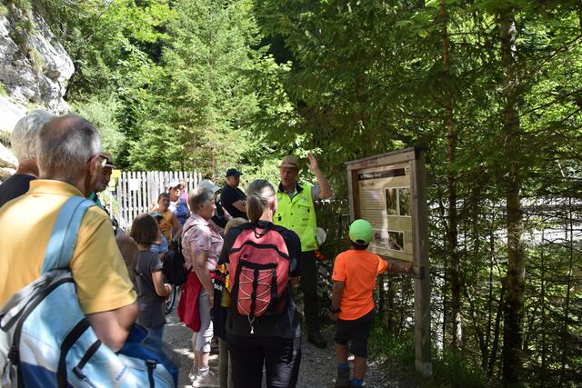 Viel Interessantes rund um den Wald entlang der Kaiserklamm in Brandenberg wusste Norman Klein von den Bundesforsten zu erzählen.  | Foto: Barbara Fluckinger