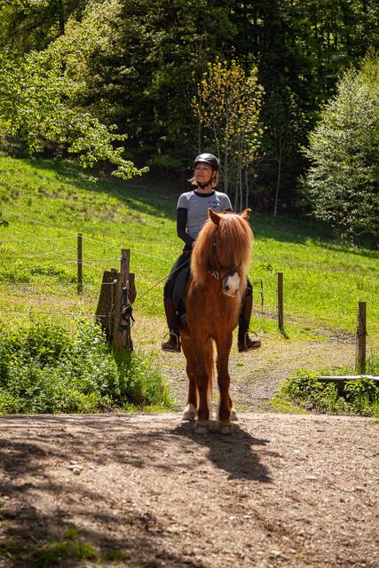 Claudia Aschour mit ihrem Pferd Oskar am Waldrand.