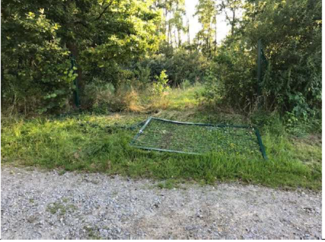 Der Autolenker fuhr gewaltsam durch das versperrte Zufahrtstor der Plantage.