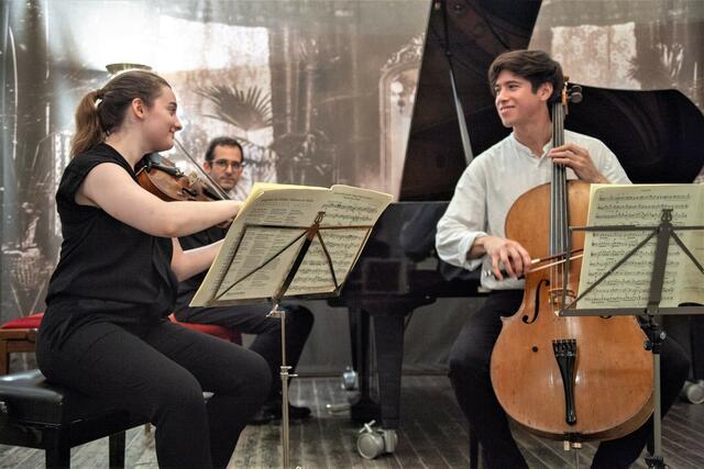 Maximal elf Bewerber werden alljährlich für die "colluvio Chamber Music Academy" ausgewählt. Von Hornegg ausgehend tragen sie die Botschaft der Musik in viele Metropolen Europas.