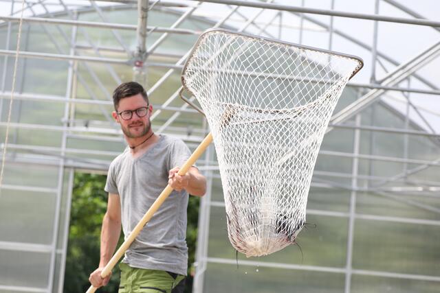 Martin Temmel hält in seiner neuen Aquafarm Liesingtaler Welse, eine nahezu grätenfreie Fischart. Bald soll das Sortiment an regionalem Fisch erweitert werden. | Foto: Katharina Wassler