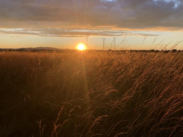 Sonnenuntergang über den Feldern von Mitterndorf.