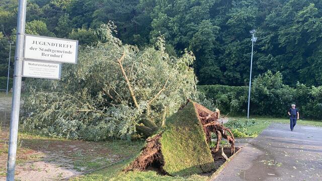In Berndorf entwurzelte der Sturm einen Baum neben dem Jugendtreff.