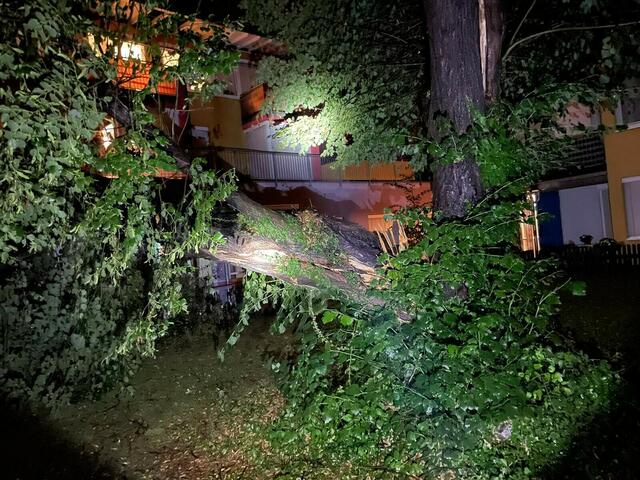 Unwetterbedingt umgefallene Bäume sind in Graz kein Einzelfall. Freitagabend ist im Stadtgebiet Grünzeug und Geäst durch die Winde geflogen. | Foto: Berufsfeuerwehr Graz