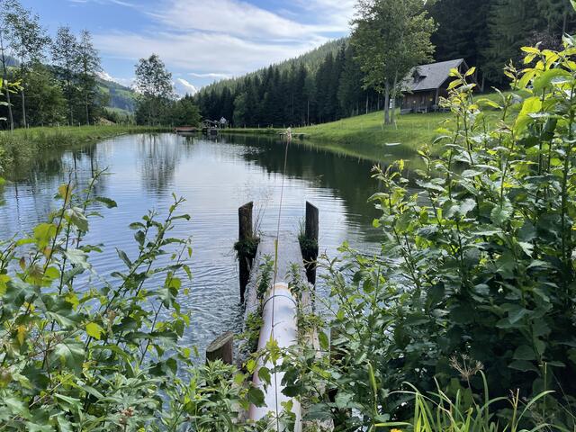 Idyllisch und bekannt, der Fischteich in Gasen. | Foto: WOCHE/NdC