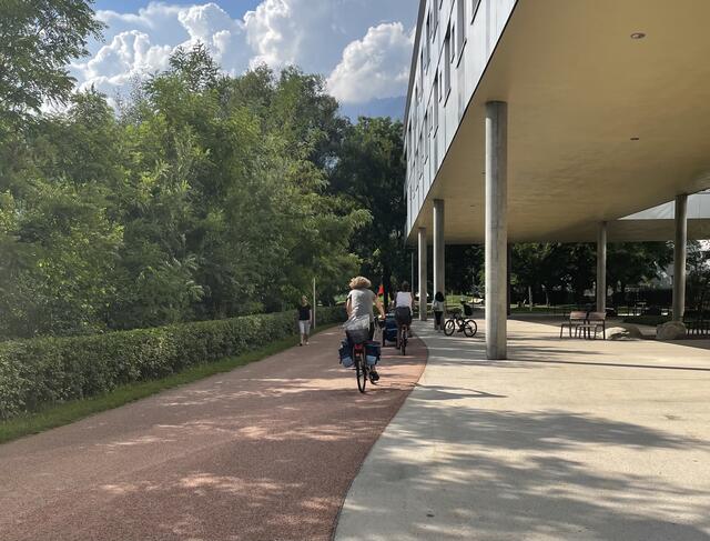 Fußgänger, Radfahrer oder unter anderem auch E-Roller-Fahrer werden zusammengeführt. | Foto: Viktoria Gstir