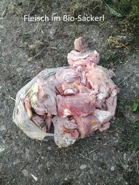Foto: GV Gmünd