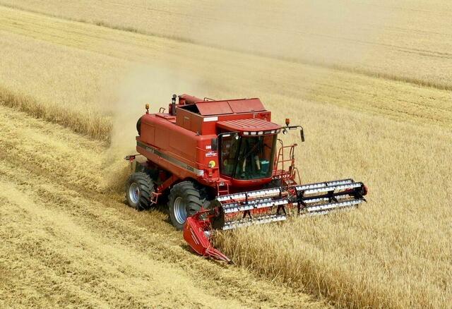Das Einbringen der Ernte neigt sich dem Ende zu und langsam verschwinden die großen Erntemaschinen wieder von den Feldern.