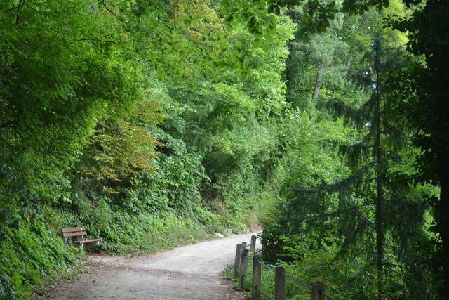 ausflugsziele-in-der-umgebung-von-wien-spazierwege-durch-die