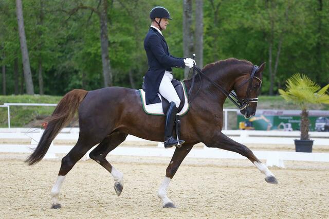 Peter Gmoser mit seinem Ausnahmepferd Don Jon OLD | Foto: Team Myrtill