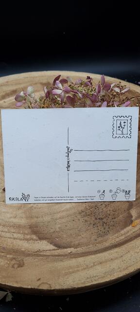 Besamte Grüße aus Graz, die um die Welt gehen, erzeugt Seedpap.  | Foto: KK