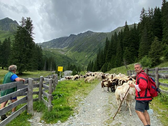 Foto: zeitungsfoto.at