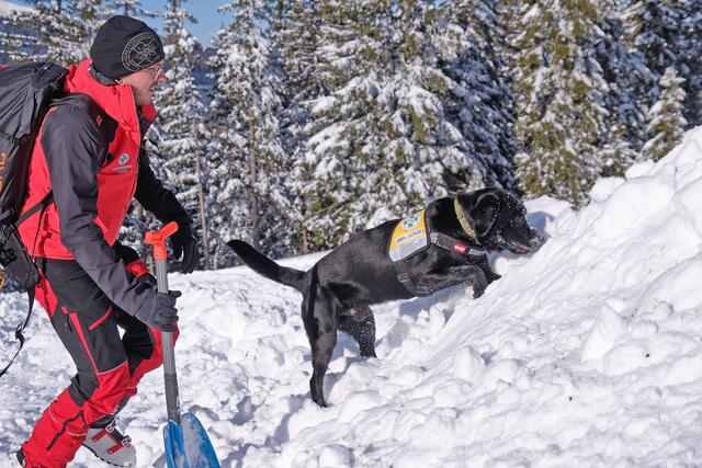 Lawinensuchhund Quero mit Hundeführer Daniel Temmel mussten im Vorjahr 13 Mal zu Sucheinsätzen ausrücken – auch über das Brucker Einzugsgebiet hinaus.