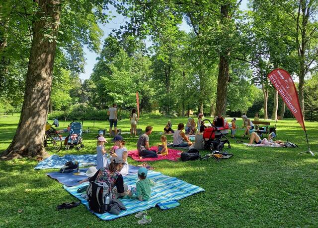 Lesen im Hammerpark. | Foto: Privat