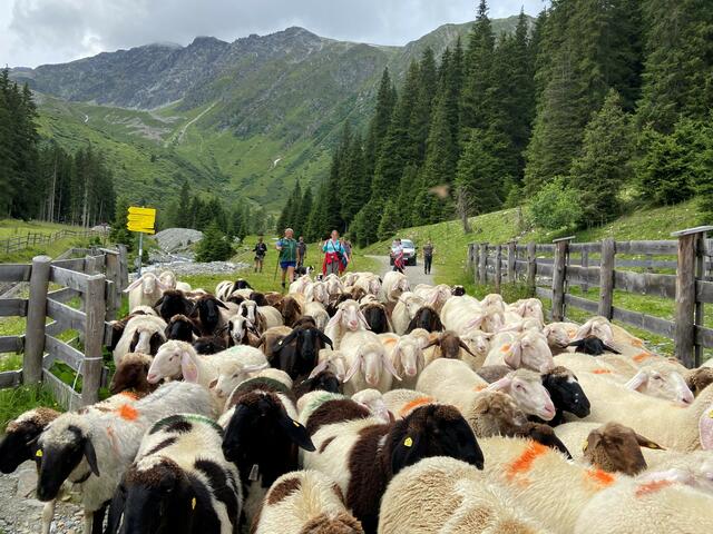 Foto: zeitungsfoto.at